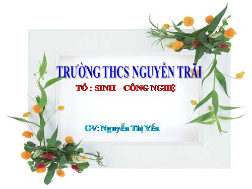 Bài 18. Trai sông