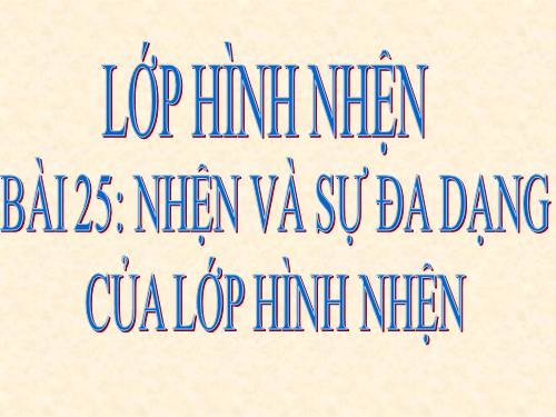 Bài 25. Nhện và sự đa dạng của lớp Hình nhện