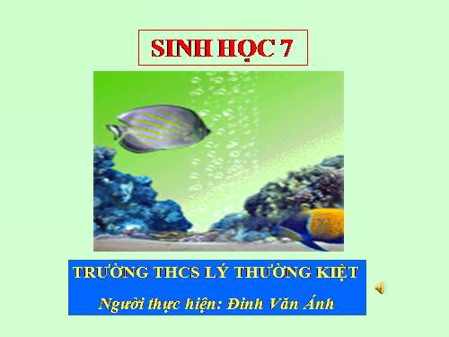 Bài 33. Cấu tạo trong của cá chép