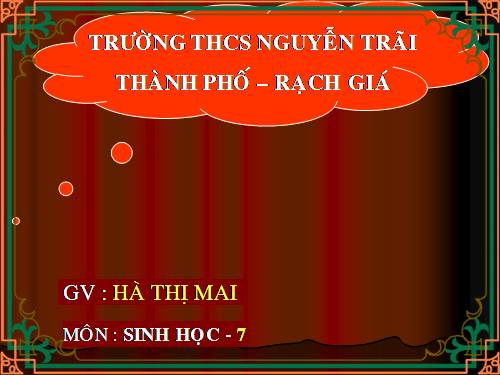 Bài 41. Chim bồ câu