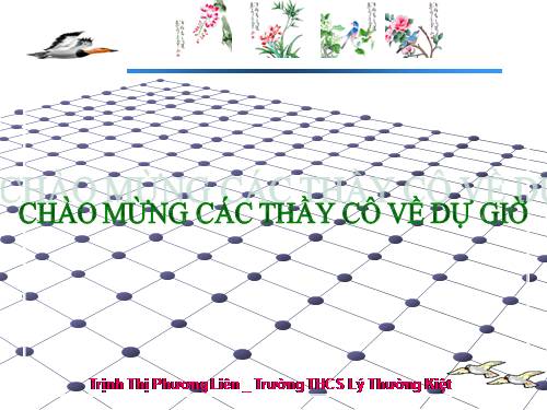 Bài 41. Chim bồ câu