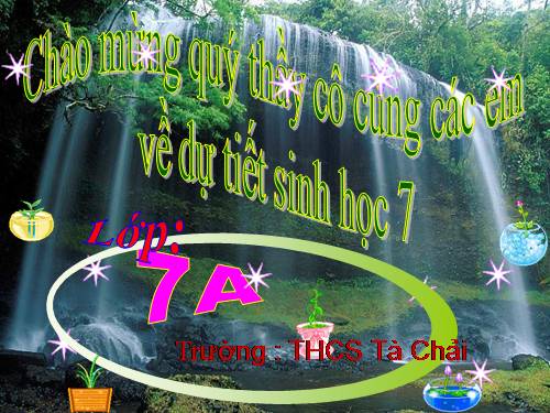 Bài 38. Thằn lằn bóng đuôi dài