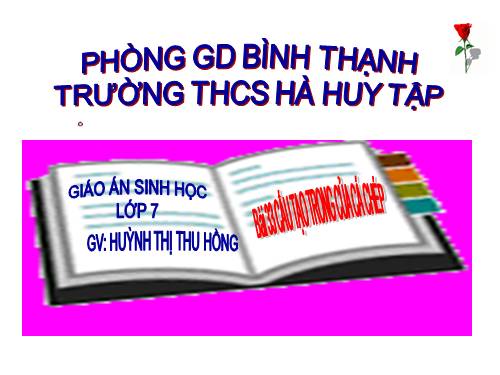 Bài 33. Cấu tạo trong của cá chép