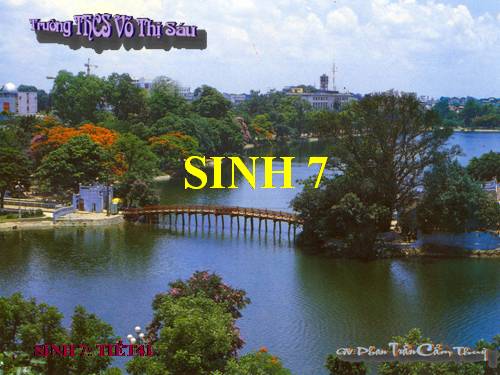 Bài 39. Cấu tạo trong của thằn lằn