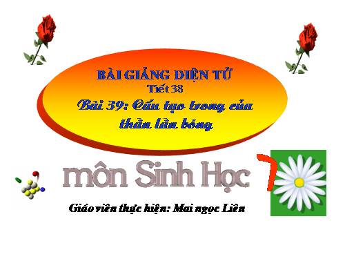 Bài 39. Cấu tạo trong của thằn lằn