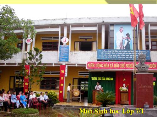 Bài 26. Châu chấu
