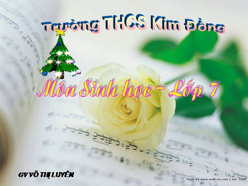 Bài 15. Giun đất