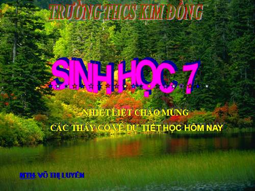 Bài 22. Tôm sông