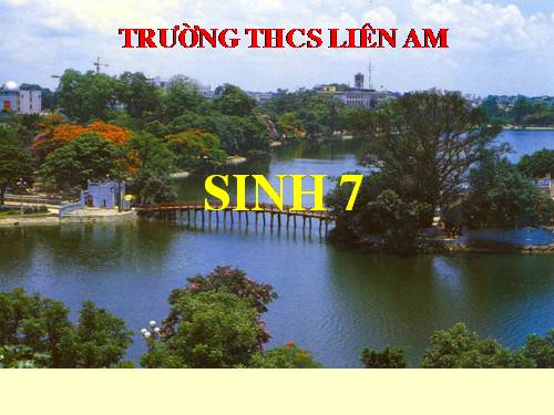 Bài 39. Cấu tạo trong của thằn lằn