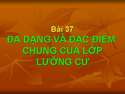 Bài 37. Đa dạng và đặc điểm chung của lớp Lưỡng cư