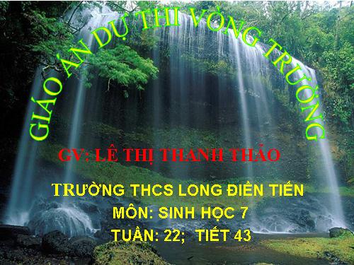 Bài 41. Chim bồ câu