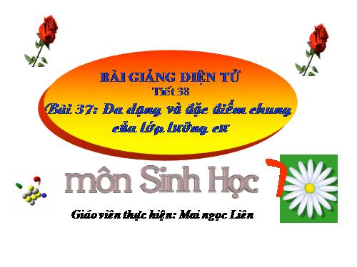 Bài 37. Đa dạng và đặc điểm chung của lớp Lưỡng cư