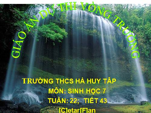 Bài 41. Chim bồ câu