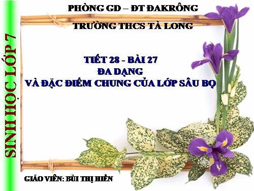 Bài 27. Đa dạng và đặc điểm chung của lớp Sâu bọ