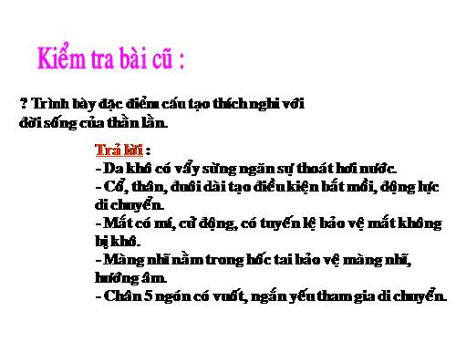 Bài 39. Cấu tạo trong của thằn lằn