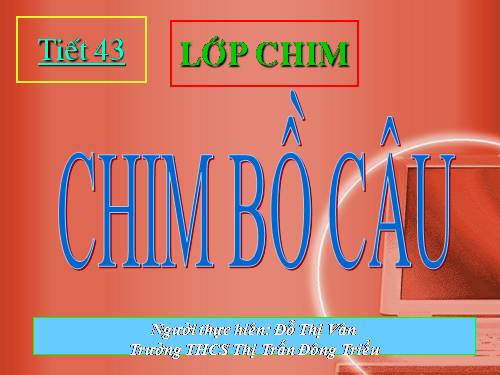 Bài 41. Chim bồ câu