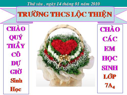 Bài 38. Thằn lằn bóng đuôi dài