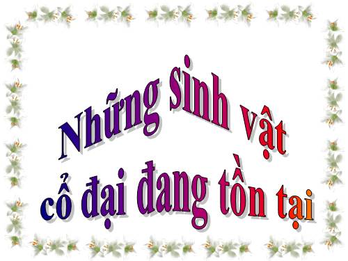 Những "hóa thạch" động vật sống