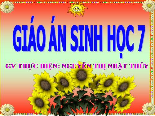 Bài 24. Đa dạng và vai trò của lớp Giáp xác