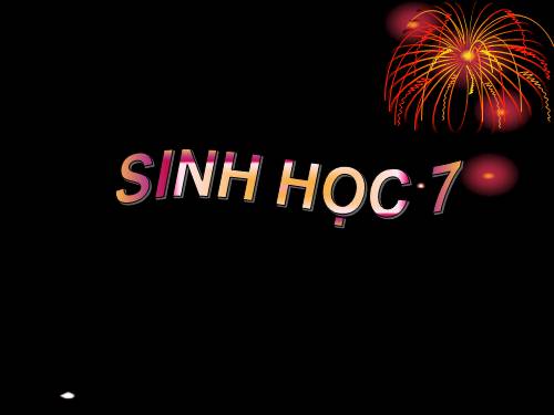 Bài 25. Nhện và sự đa dạng của lớp Hình nhện