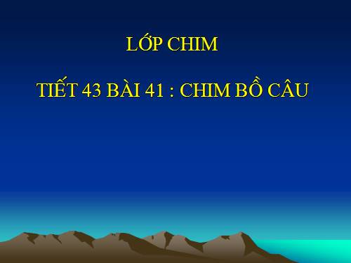 Bài 41. Chim bồ câu