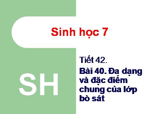 Bài 40. Đa dạng và đặc điểm chung của lớp Bò sát