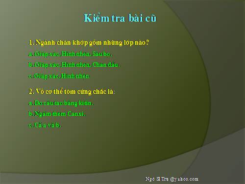 Bài 26. Châu chấu