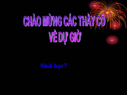 Bài 19. Một số thân mềm khác