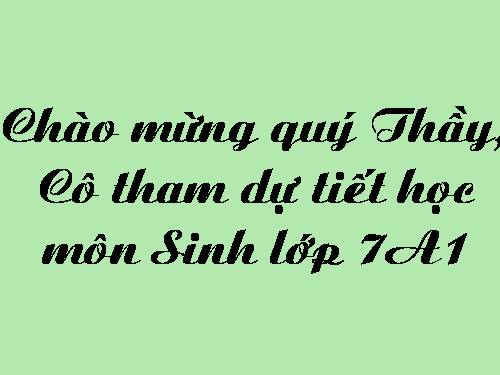 Bài 7. Đặc điểm chung và vai trò thực tiễn của Động vật nguyên sinh