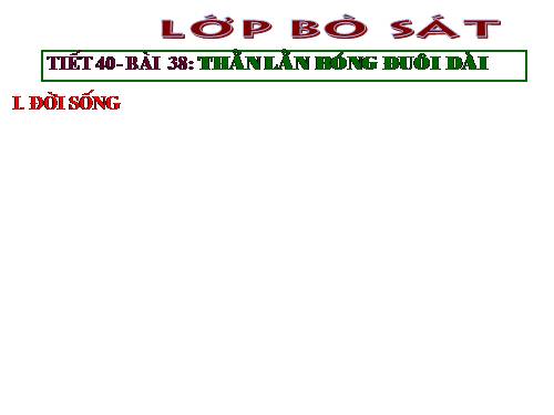 Bài 38. Thằn lằn bóng đuôi dài