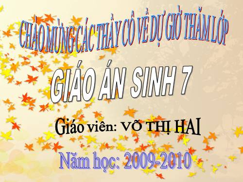 Bài 21. Đặc điểm chung và vai trò của ngành Thân mềm