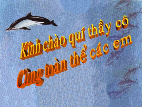 Bài 44. Đa dạng và đặc điểm chung của lớp Chim