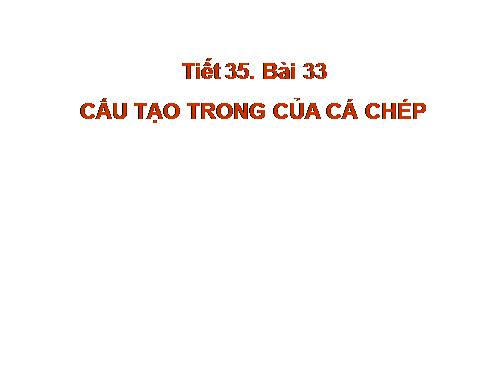 Bài 33. Cấu tạo trong của cá chép