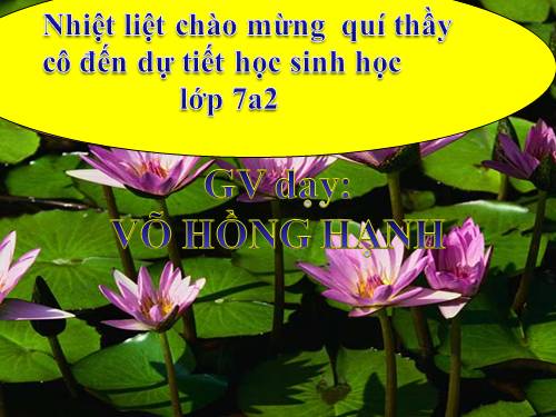 Bài 10. Đặc điểm chung và vai trò của ngành Ruột khoang