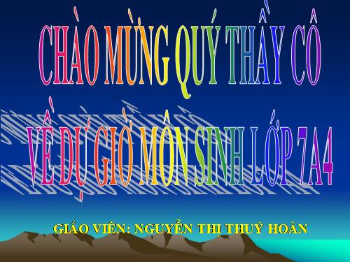 Bài 40. Đa dạng và đặc điểm chung của lớp Bò sát