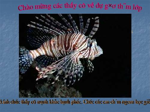 Bài 34. Đa dạng và đặc điểm chung của các lớp Cá