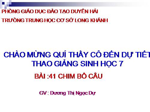 Bài 41. Chim bồ câu