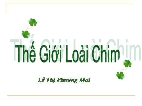 The gioi cac loai chim