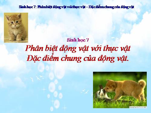 Bài 2. Phân biệt động vật với thực vật. Đặc điểm chung của động vật