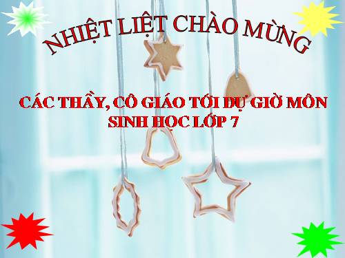 Bài 29. Đặc điểm chung và vai trò của ngành Chân khớp