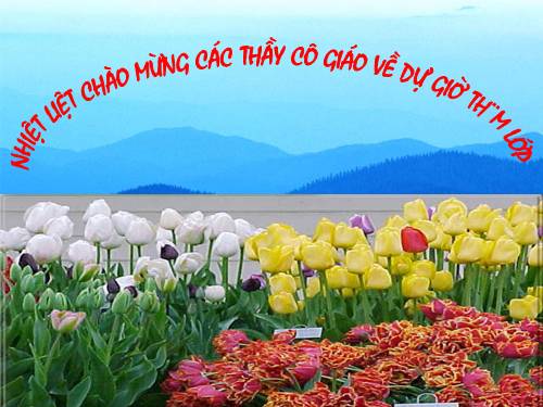 Bài 14. Một số giun tròn khác và đặc điểm chung của ngành Giun tròn