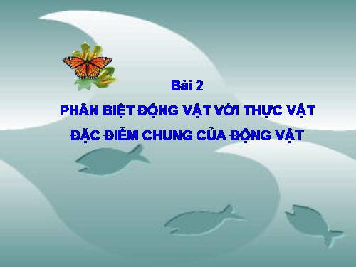 Bài 2. Phân biệt động vật với thực vật. Đặc điểm chung của động vật