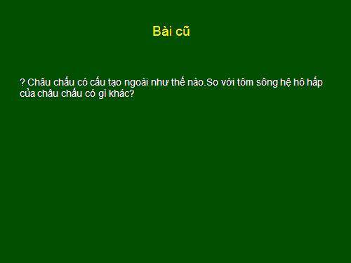 Bài 27. Đa dạng và đặc điểm chung của lớp Sâu bọ