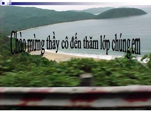 Bài 22. Tôm sông