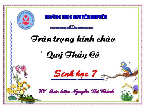 Bài 18. Trai sông