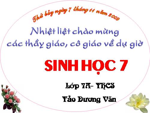 Bài 21. Đặc điểm chung và vai trò của ngành Thân mềm