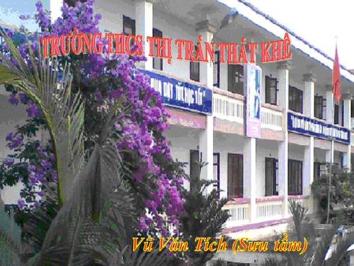 Bài 28. Thực hành: Xem băng hình về tập tính của sâu bọ
