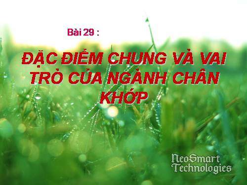 Bài 29. Đặc điểm chung và vai trò của ngành Chân khớp