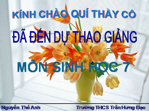 Bài 12. Một số giun dẹp khác và đặc điểm chung của ngành Giun dẹp