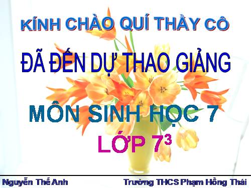 Bài 27. Đa dạng và đặc điểm chung của lớp Sâu bọ